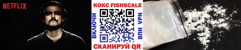 цены   Новоузенск  Кокаин Fish Scale 