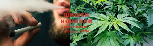 мескалин Богданович