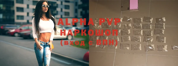 apvp Богородицк