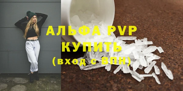 мескалин Богданович