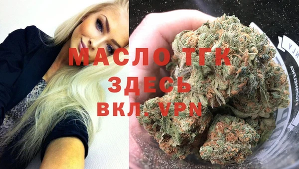 apvp Богородицк