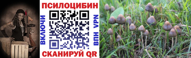 Галлюциногенные грибы MAGIC MUSHROOMS  Новоузенск 